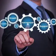 Partner 3